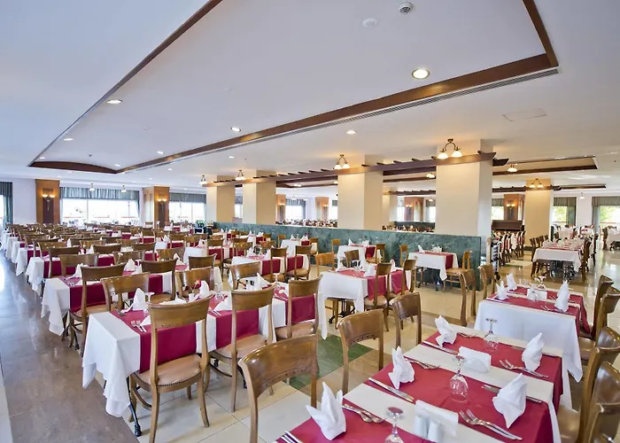 リゾート Trendy Aspendos シダ